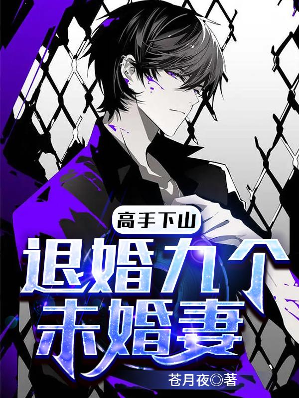 《高手下山：退婚九个未婚妻》全集免费在线阅读（叶公子叶辰小芸）-优文网