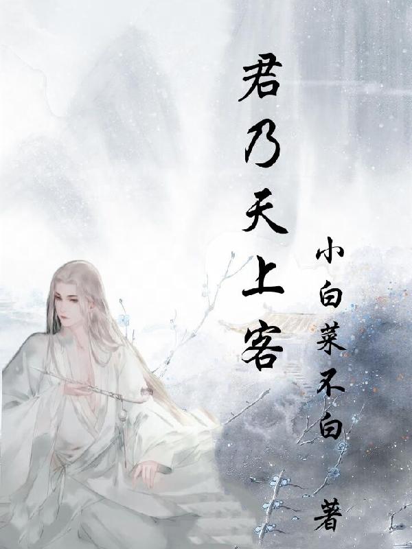 君乃天上客君一非白九皇小说免费阅读