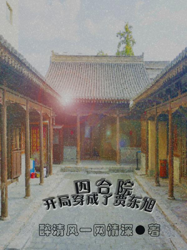小说《四合院：开局穿成了贾东旭》全文免费阅读