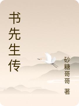 小说《书先生传》在线全文阅读