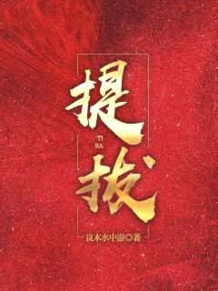 提拔小说，提拔在线阅读-够力荐小说推荐网