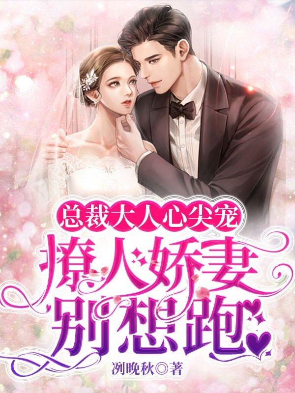 小说《总裁大人心尖宠，撩人娇妻别想跑》全文免费阅读