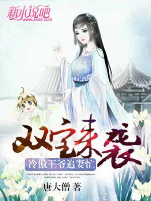 主角叫小冉菱墨六苗毅坏人小说双宝来袭，冷傲王爷追妻忙全文免费阅读
