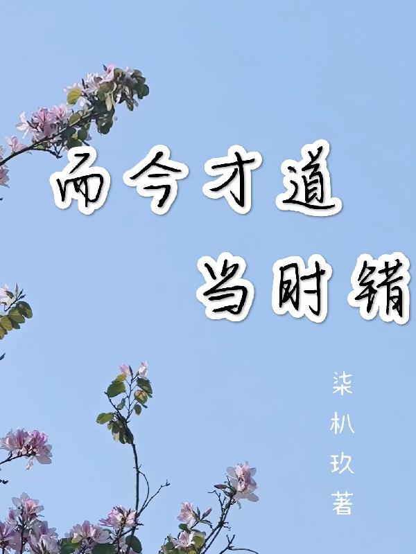 小说《而今才道当时错》在线全文阅读