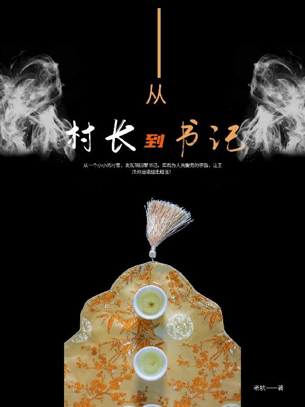 从村长到书记小说，从村长到书记免费阅读