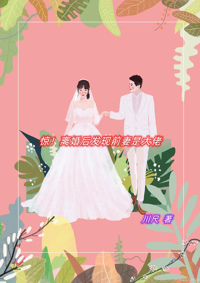 惊！离婚后发现前妻是大佬小说，惊！离婚后发现前妻是大佬全文在线阅读