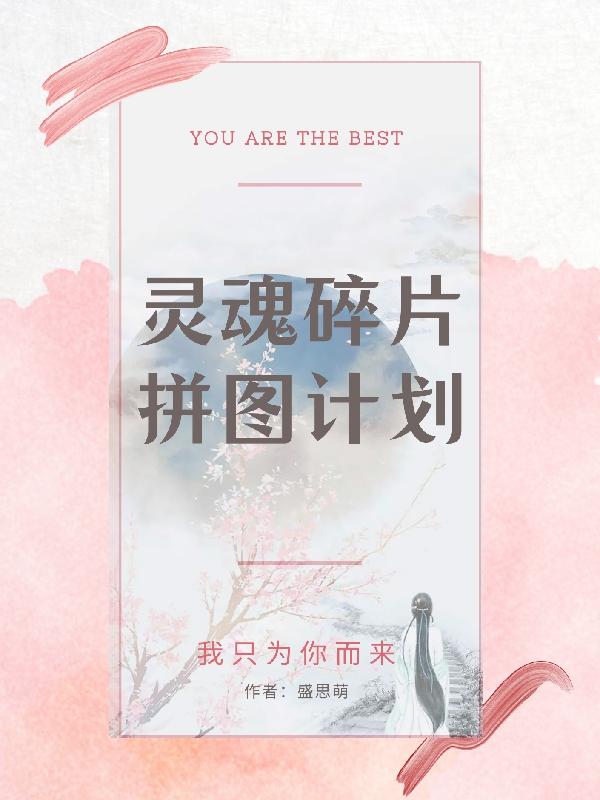 小说《灵魂碎片拼图计划》全文免费阅读