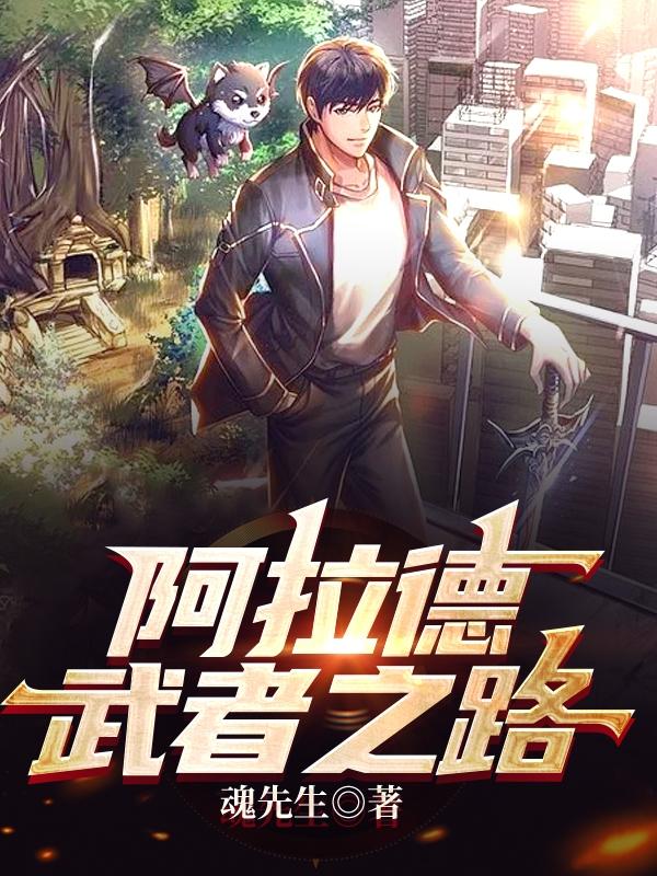 逍遥小说《阿拉德武者之路》在线阅读