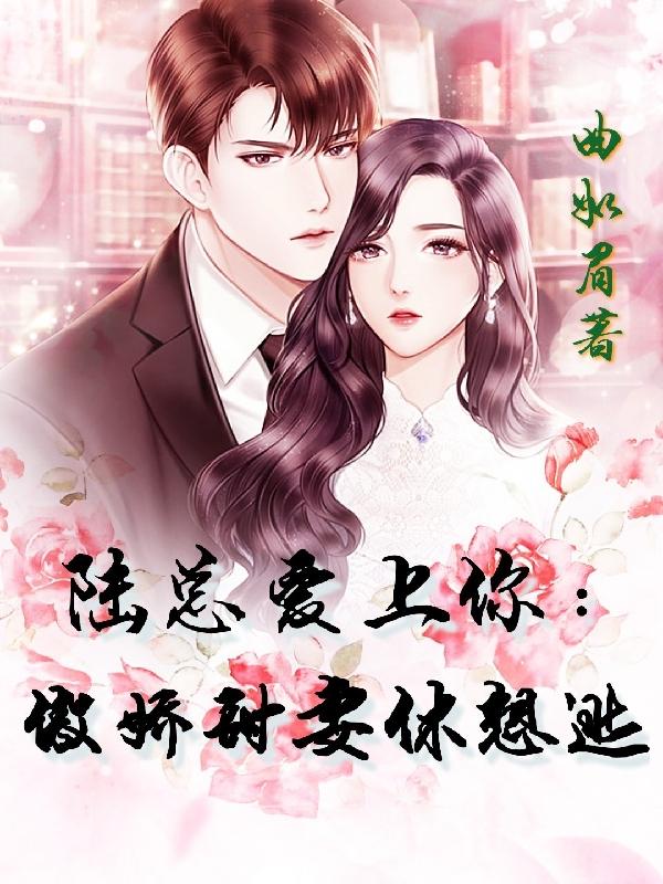 小说《陆总爱上你：傲娇甜妻休想逃》在线全文阅读