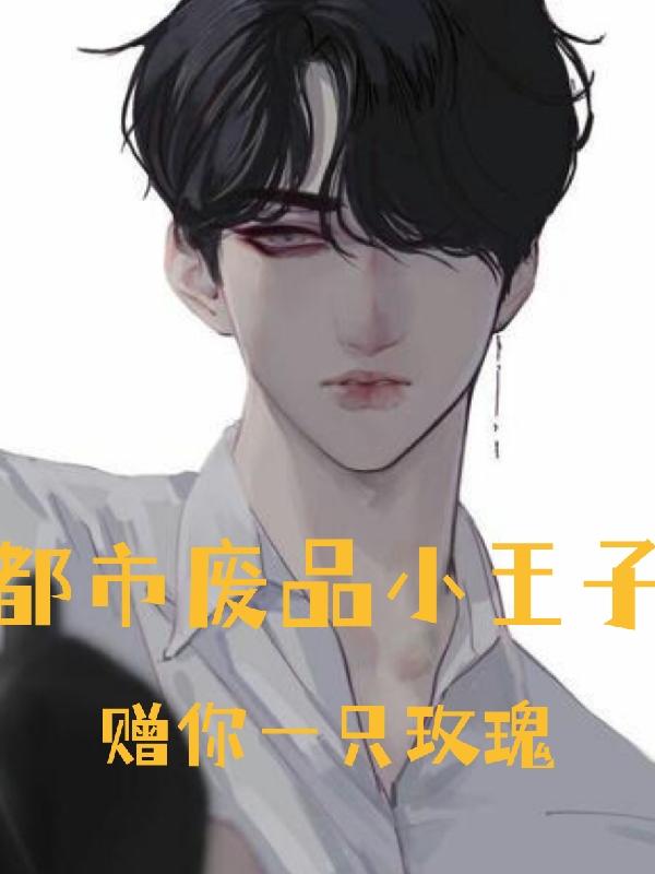 求都市废品小王子小说免费资源