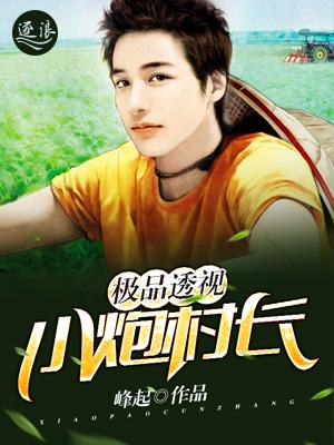 小说《极品透视：小炮村长》在线全文阅读