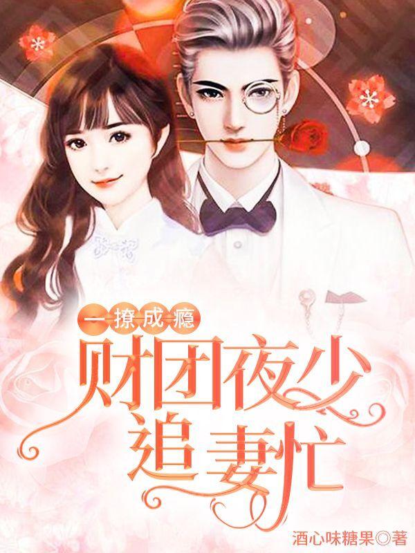 小说《一撩成瘾：财团夜少追妻忙》全文免费阅读