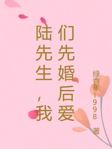 陆先生，我们先婚后爱最新章节，陆先生，我们先婚后爱免费阅读-优文网