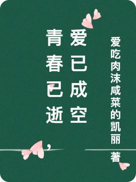 小说《青春已逝，爱已成空》在线全文阅读