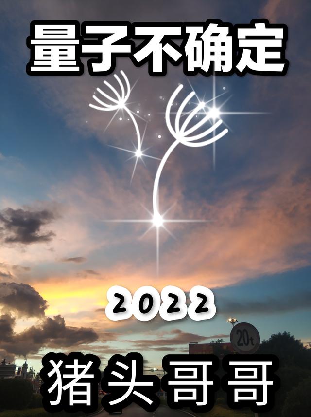 量子不确定最新章节，量子不确定免费阅读