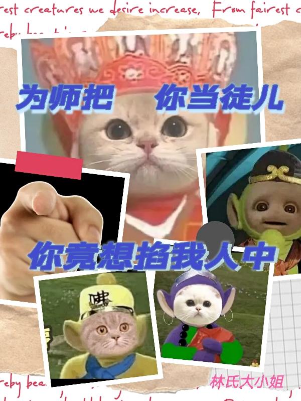 求为师把你当徒儿，你竟想掐我人中小说免费资源