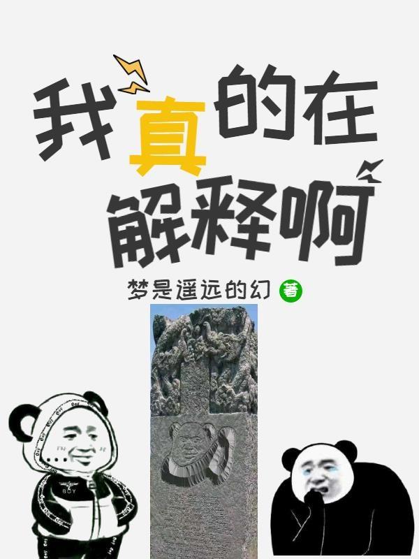 完整版《我真的在解释啊》txt下载