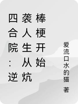 小说《四合院：逆袭人生从炕棒梗开始》在线全文阅读-读书翁