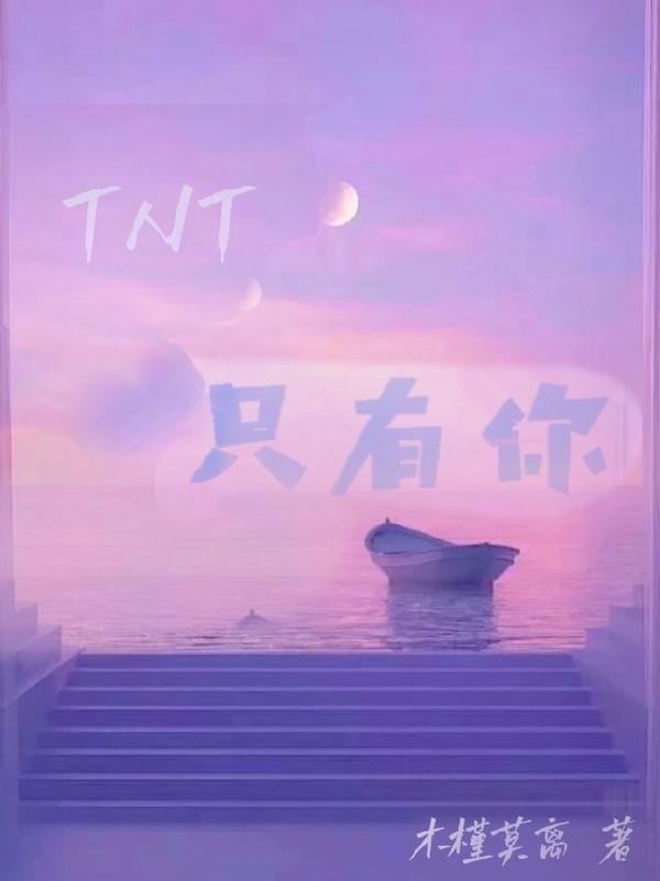 完整版《TNT只有你》txt下载-优文网