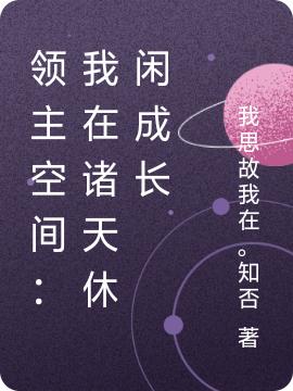 领主空间：我在诸天休闲成长周末小说免费阅读