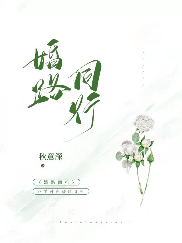 婚路同行（司南倪安）在线免费阅读