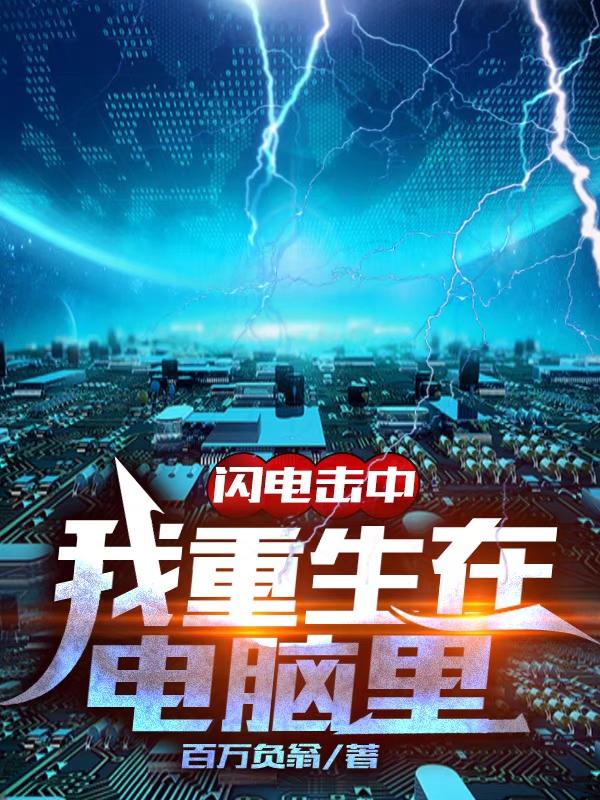 闪电击中，我重生在电脑里百万负翁，闪电击中，我重生在电脑里小说免费阅读-优文网