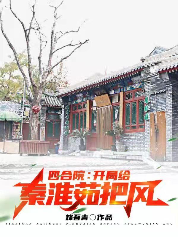 小说《四合院:开局给秦淮茹把风》全文免费阅读