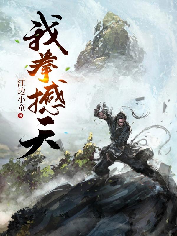 我拳撼天（周凡）在线免费阅读