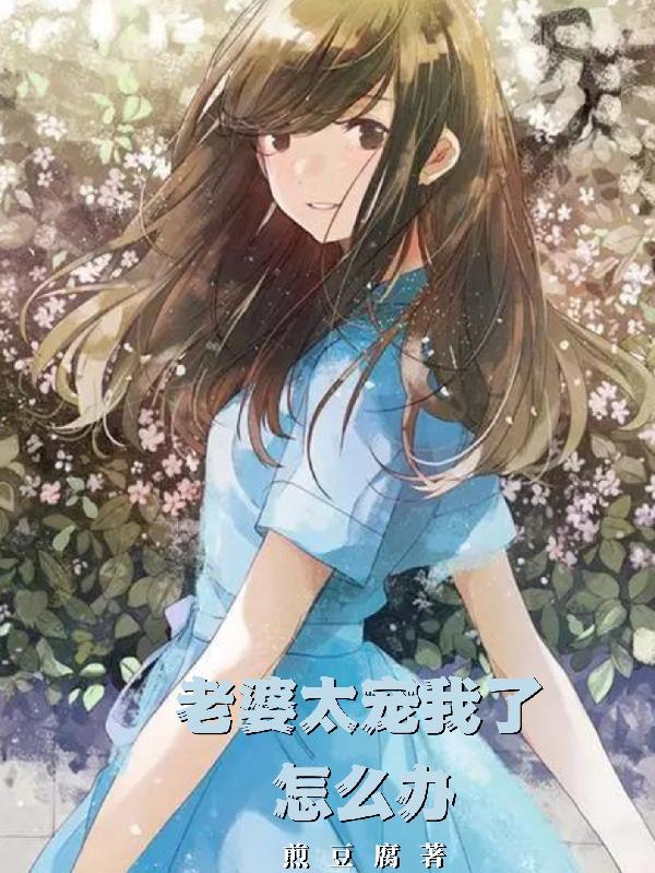 小说《老婆太宠我了怎么办》在线全文阅读
