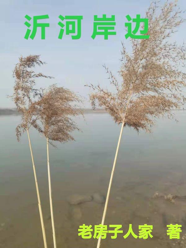 秦奋，秦军秦芳小说在哪里可以看