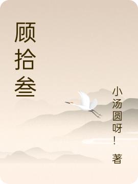 小汤圆呀！小说《顾拾叁》在线阅读