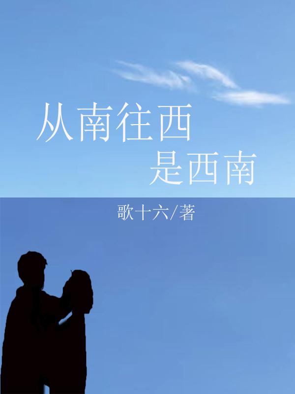 求从南往西是西南小说免费资源