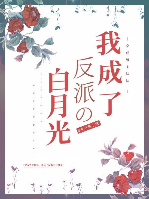求傅皎皎沈迟青小说免费资源