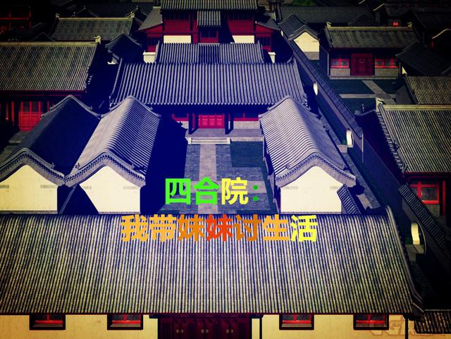 张震小说在哪里可以看