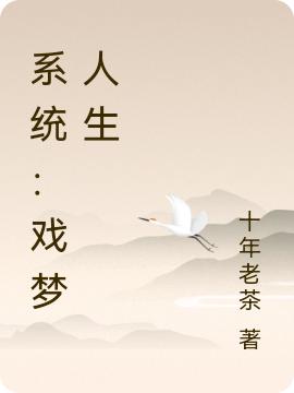 求系统：戏梦人生小说免费资源