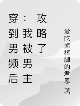 穿到男频后：我被男主攻略了车晓晓段砺之小说免费阅读