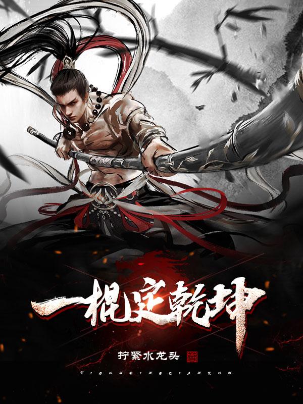 一棍定乾坤林天小说免费阅读-读书翁