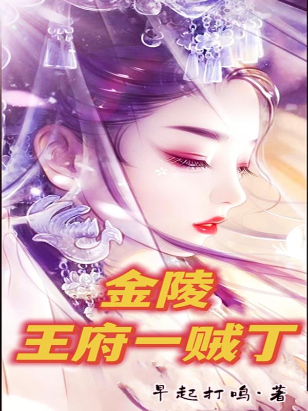 小说《金陵王府一贼丁》全文免费阅读