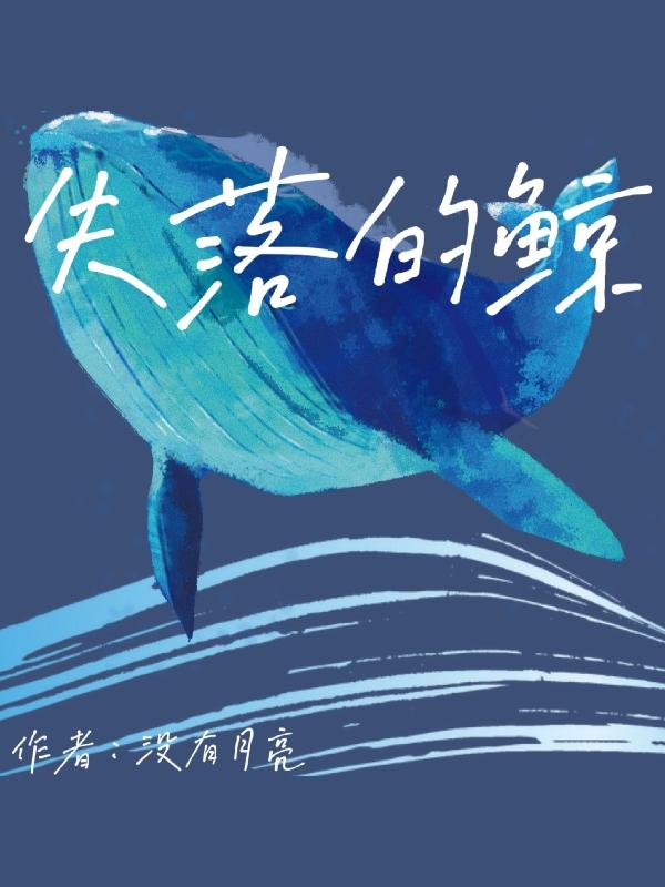 小说《失落的鲸》全文免费阅读