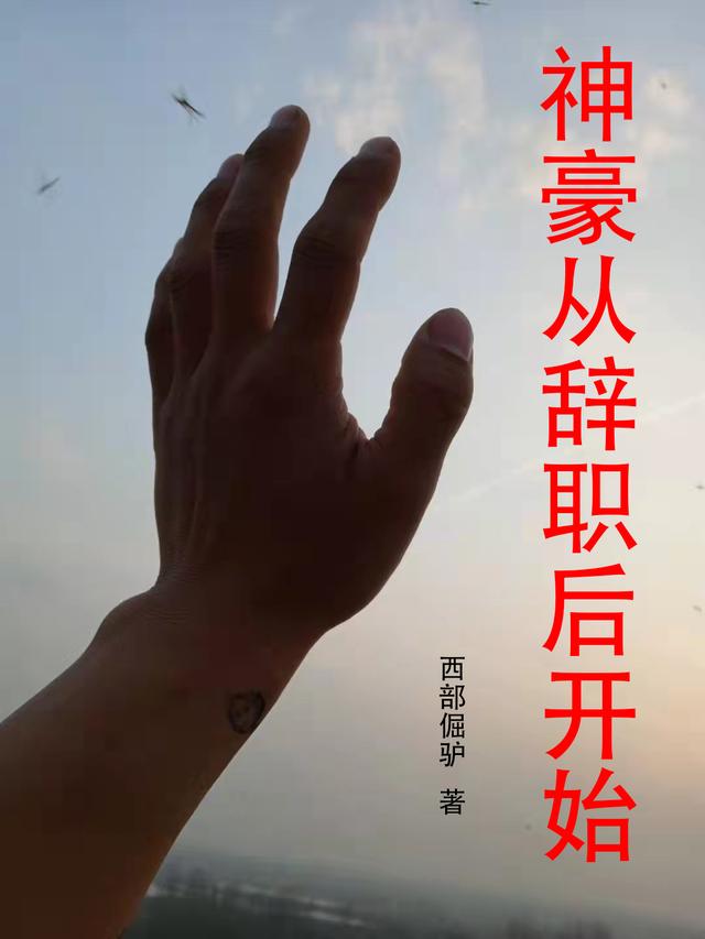 神豪从辞职后开始陈平小说免费阅读-有文学