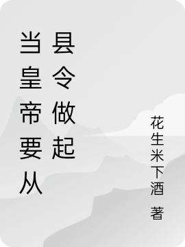 求当皇帝要从县令做起小说免费资源