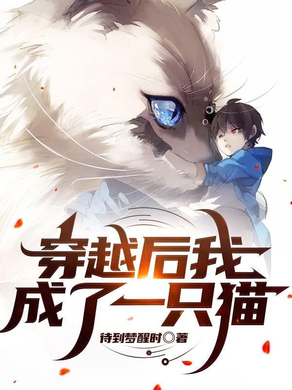 穿越后我成了一只猫灵李浩小说免费阅读