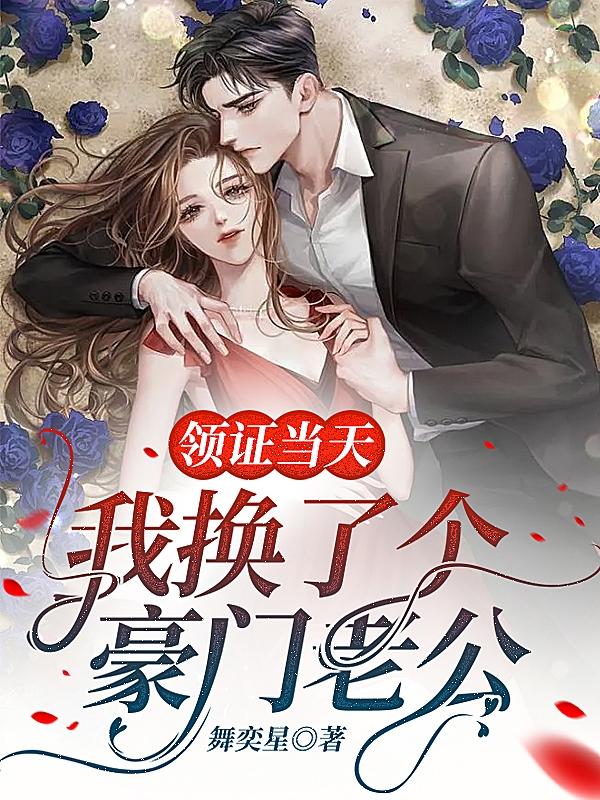 完整版《领证当天，我换了个豪门老公》全文阅读
