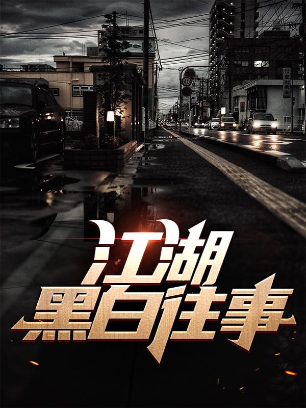 三宝子安童华哥小说《江湖黑白往事》在线阅读