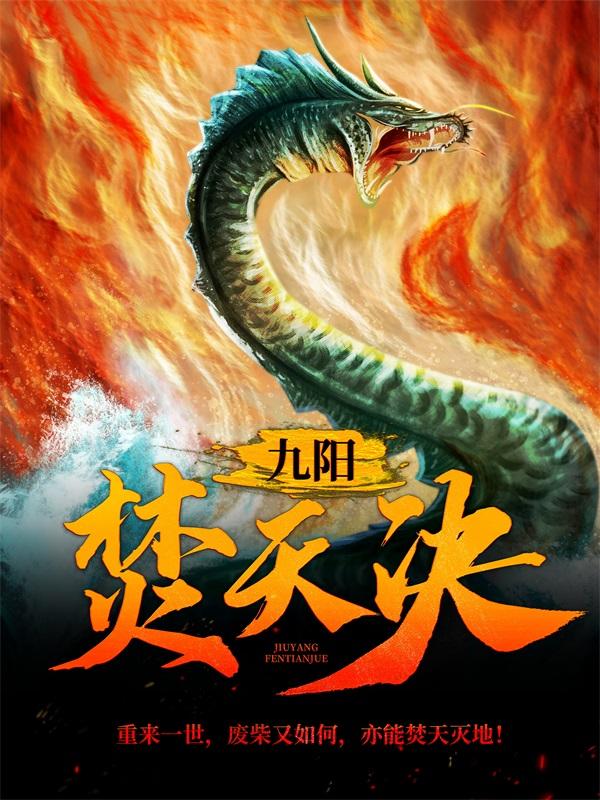 《九阳焚天决》全集免费在线阅读（雪儿萧凌王头领）