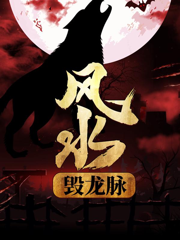 风水：毁龙脉全章节免费在线阅读，林小姐林朝夕完结版-优文网