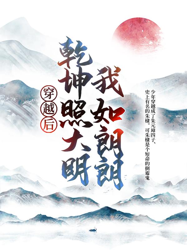 已完结小说《穿越后，我如朗朗乾坤照大明》最新章节-优文网