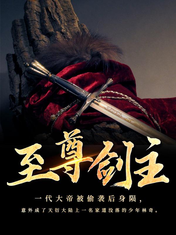 至尊剑主免费阅读，至尊剑主林奇