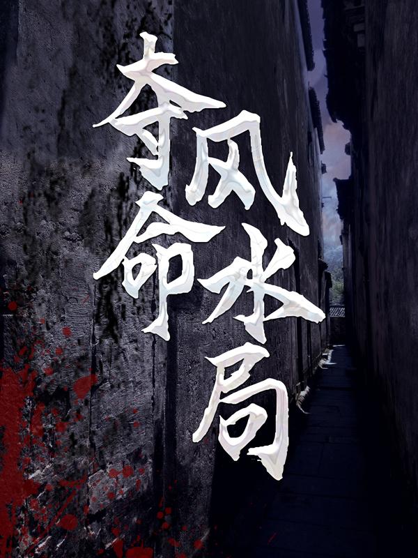 已完结小说《夺命风水局》在线全文阅读-经典文学