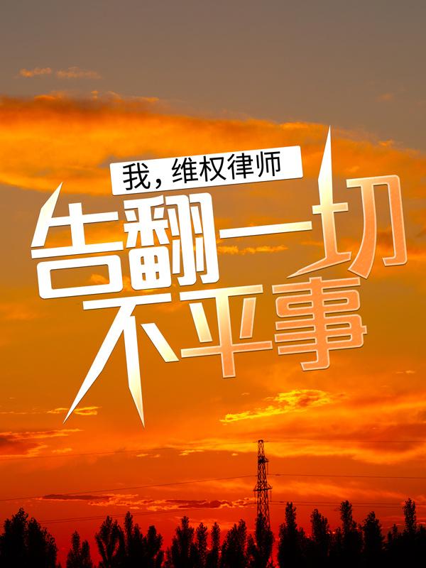 小说《我，维权律师，告翻一切不平事！》全文免费阅读-经典文学